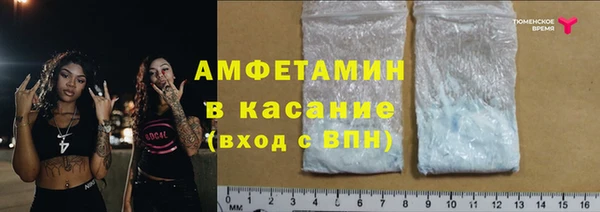 гидра Арсеньев