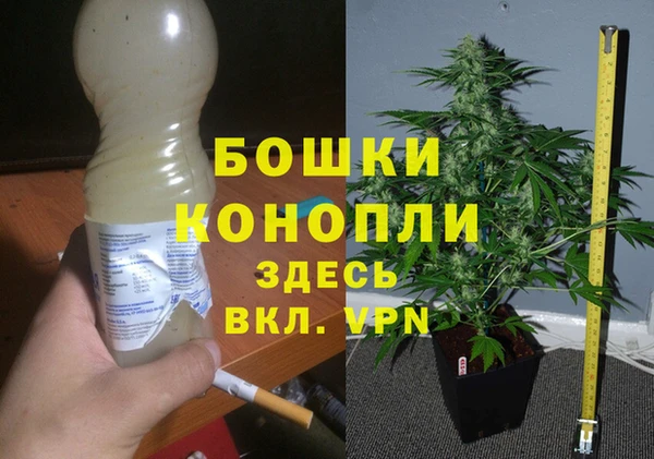 гидра Арсеньев