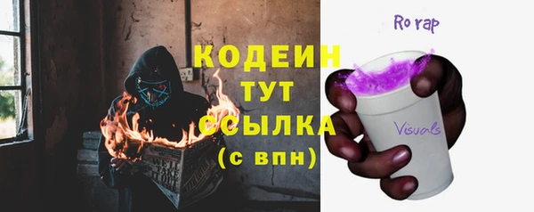 гидра Арсеньев