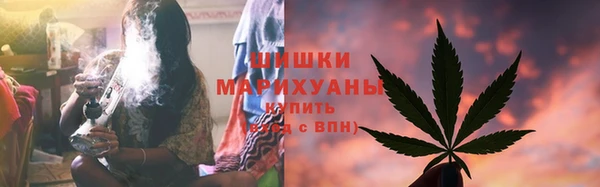 гидра Арсеньев