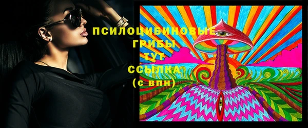гидра Арсеньев