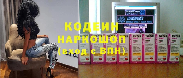 гидра Арсеньев