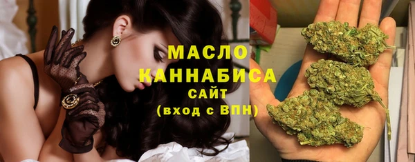 гидра Арсеньев