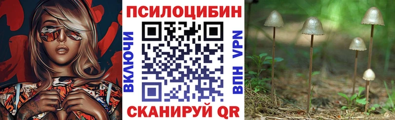 Купить где  Шлиссельбург  Псилоцибиновые грибы MAGIC MUSHROOMS 